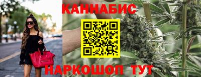 гашик Будённовск