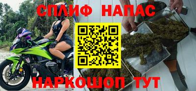 гашик Будённовск
