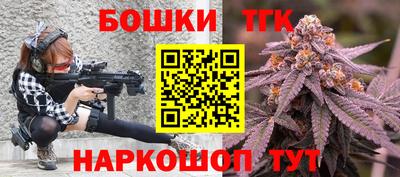 гашик Будённовск