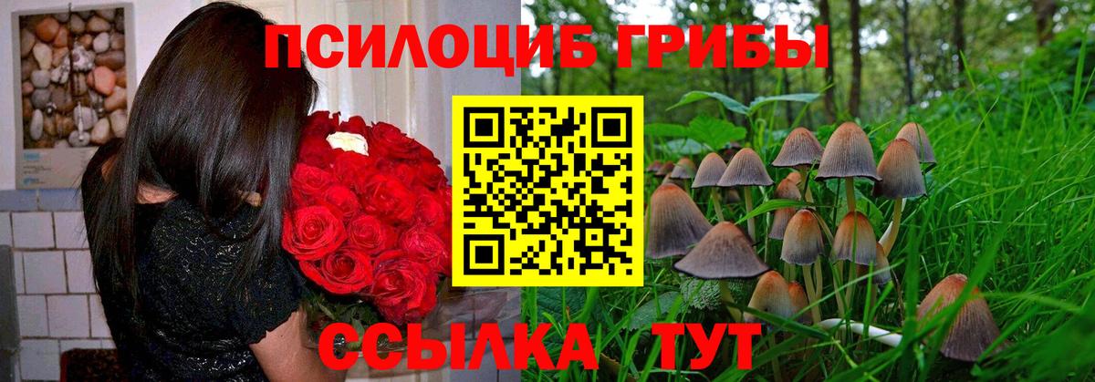 Галлюциногенные грибы мухоморы Пугачёв